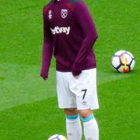 Marko Arnautović